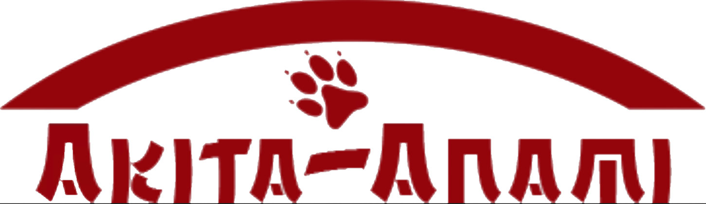 AKITA ANAMI